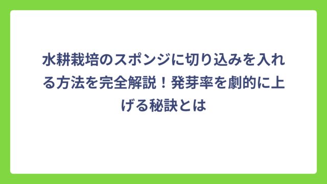 水耕栽培のスポンジに切り込みを入れる方法を完全解説！発芽率を劇的に上げる秘訣とは