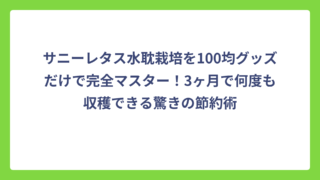 サニーレタス水耽栽培を100均グッズだけで完全マスター！3ヶ月で何度も収穫できる驚きの節約術