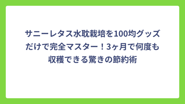 サニーレタス水耽栽培を100均グッズだけで完全マスター！3ヶ月で何度も収穫できる驚きの節約術
