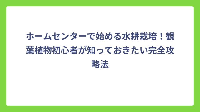 ホームセンターで始める水耕栽培！観葉植物初心者が知っておきたい完全攻略法