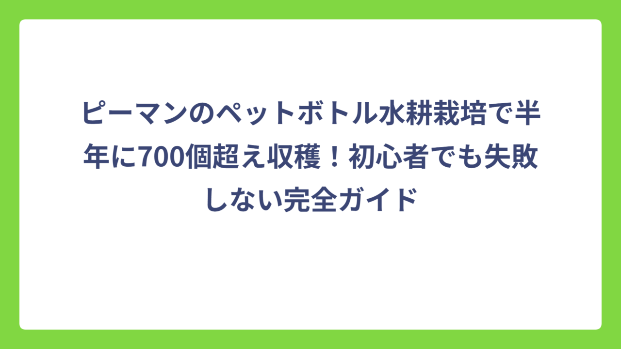 ピーマンのペットボトル水耕栽培で半年に700個超え収穫！初心者でも失敗しない完全ガイド