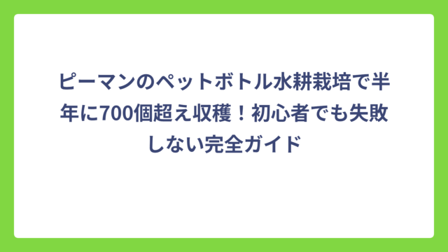 ピーマンのペットボトル水耕栽培で半年に700個超え収穫！初心者でも失敗しない完全ガイド