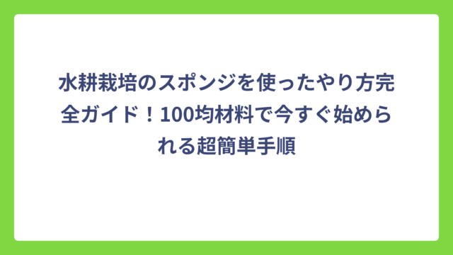 水耕栽培のスポンジを使ったやり方完全ガイド！100均材料で今すぐ始められる超簡単手順