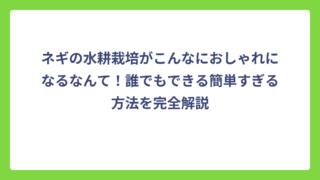 ネギの水耕栽培がこんなにおしゃれになるなんて！誰でもできる簡単すぎる方法を完全解説