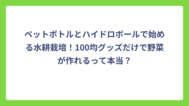 ペットボトルとハイドロボールで始める水耕栽培！100均グッズだけで野菜が作れるって本当？