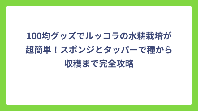 100均グッズでルッコラの水耕栽培が超簡単！スポンジとタッパーで種から収穫まで完全攻略