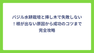 バジル水耕栽培と挿し木で失敗しない！根が出ない原因から成功のコツまで完全攻略