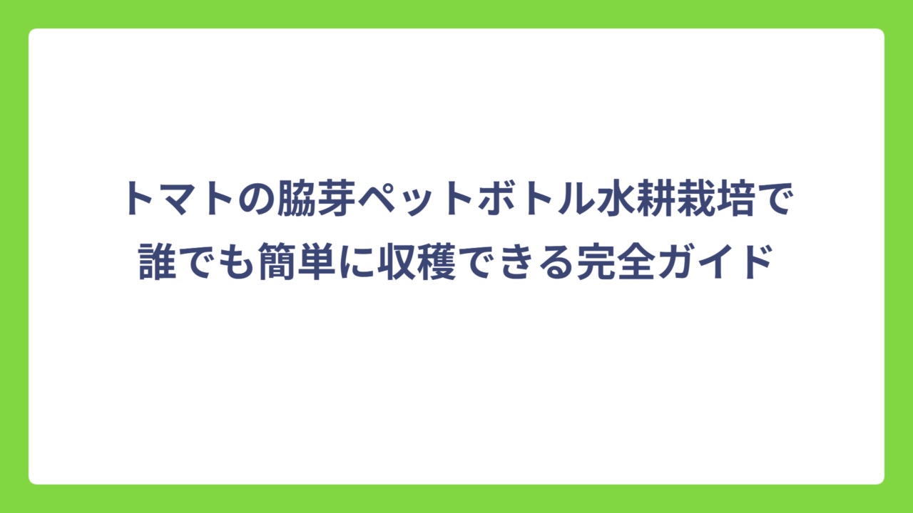 トマトの脇芽ペットボトル水耕栽培で誰でも簡単に収穫できる完全ガイド