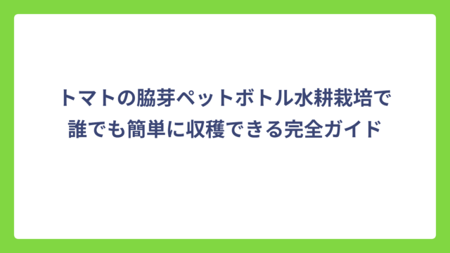 トマトの脇芽ペットボトル水耕栽培で誰でも簡単に収穫できる完全ガイド
