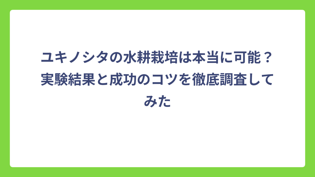 ユキノシタの水耕栽培は本当に可能？実験結果と成功のコツを徹底調査してみた