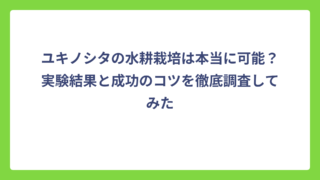 ユキノシタの水耕栽培は本当に可能？実験結果と成功のコツを徹底調査してみた