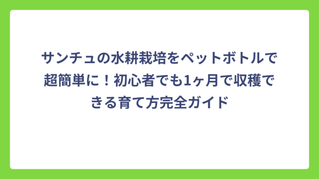 サンチュの水耕栽培をペットボトルで超簡単に！初心者でも1ヶ月で収穫できる育て方完全ガイド