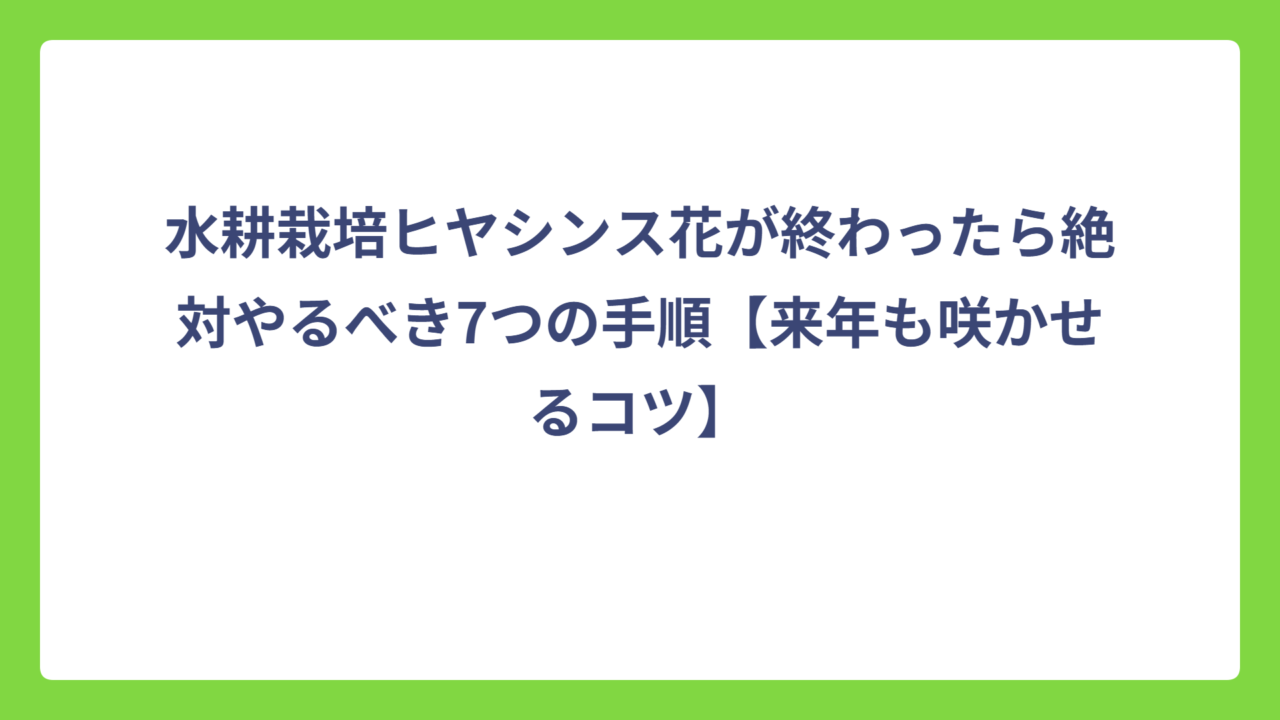 水耕栽培ヒヤシンス花が終わったら絶対やるべき7つの手順【来年も咲かせるコツ】