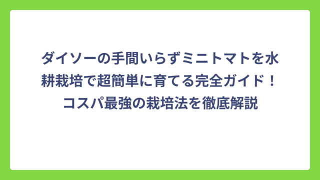 ダイソーの手間いらずミニトマトを水耕栽培で超簡単に育てる完全ガイド！コスパ最強の栽培法を徹底解説