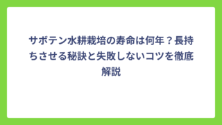 サボテン水耕栽培の寿命は何年？長持ちさせる秘訣と失敗しないコツを徹底解説