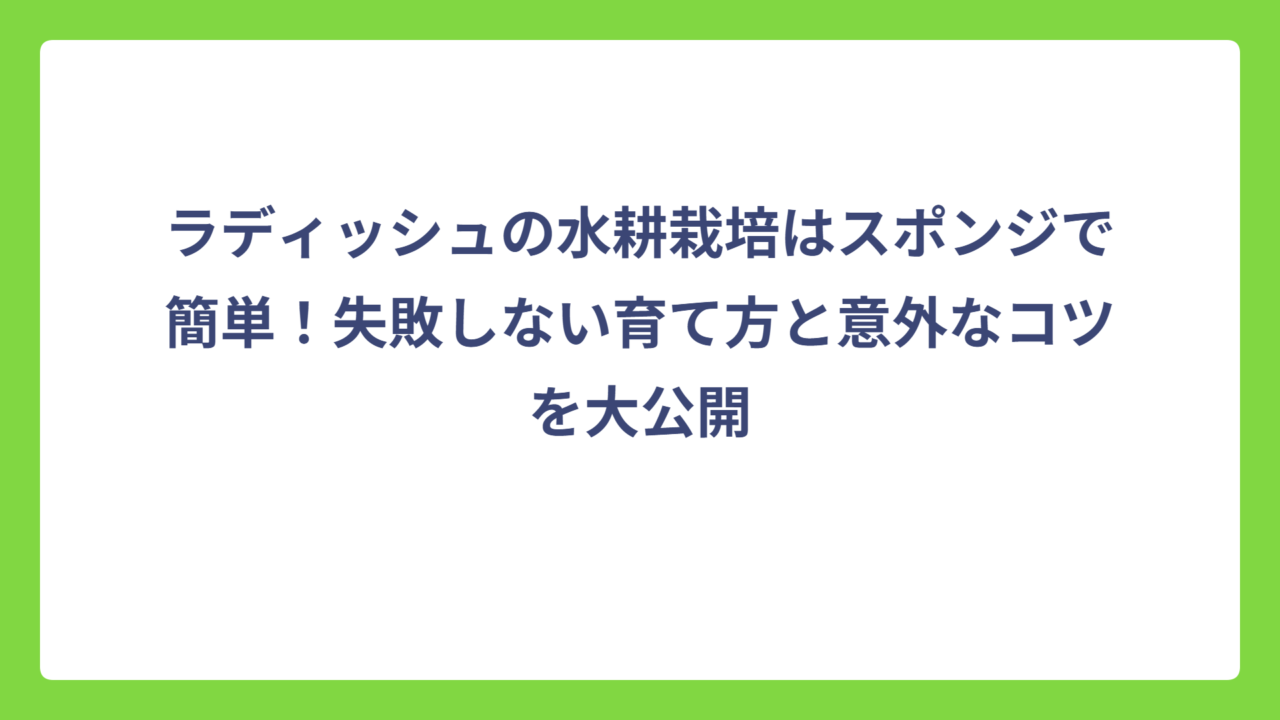 ラディッシュの水耕栽培はスポンジで簡単！失敗しない育て方と意外なコツを大公開