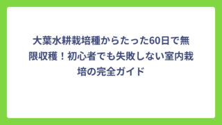 大葉水耕栽培種からたった60日で無限収穫！初心者でも失敗しない室内栽培の完全ガイド