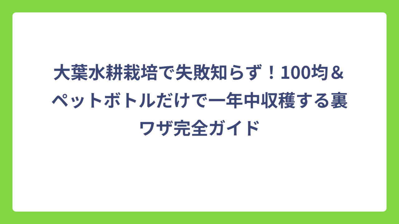 大葉水耕栽培で失敗知らず！100均＆ペットボトルだけで一年中収穫する裏ワザ完全ガイド