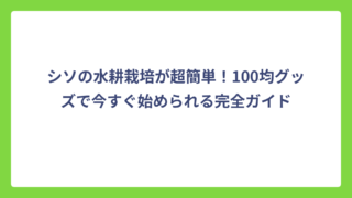 シソの水耕栽培が超簡単！100均グッズで今すぐ始められる完全ガイド