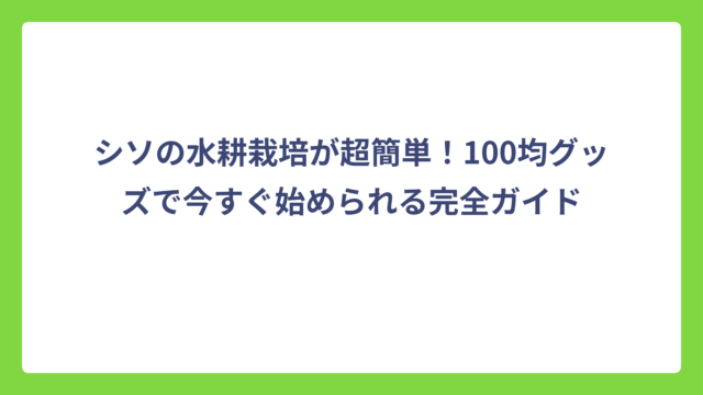 シソの水耕栽培が超簡単！100均グッズで今すぐ始められる完全ガイド