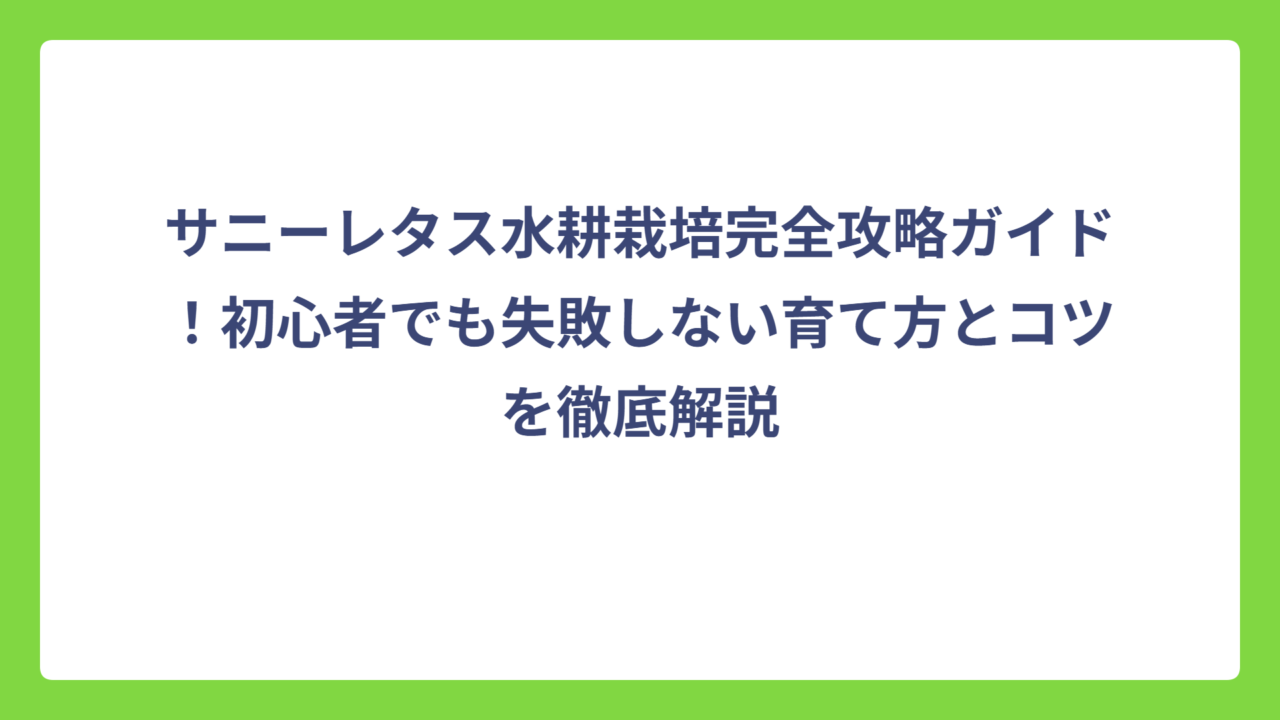 サニーレタス水耕栽培完全攻略ガイド！初心者でも失敗しない育て方とコツを徹底解説