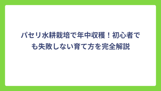 パセリ水耕栽培で年中収穫！初心者でも失敗しない育て方を完全解説