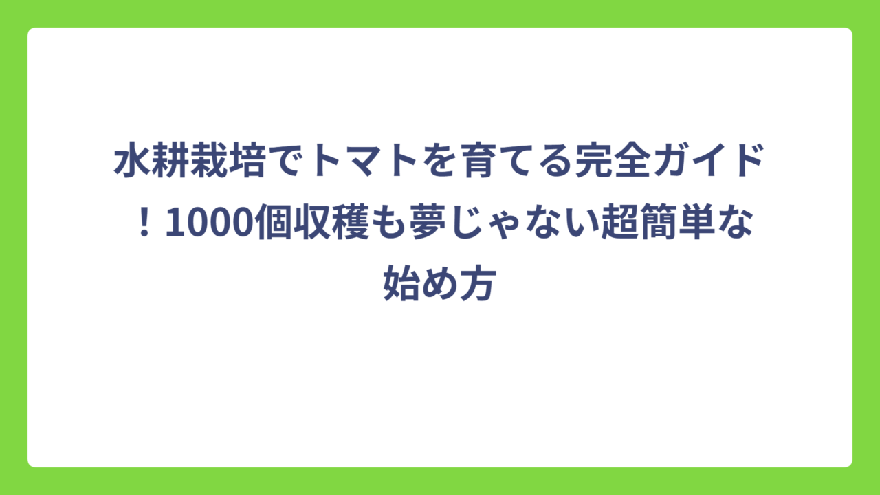 水耕栽培でトマトを育てる完全ガイド！1000個収穫も夢じゃない超簡単な始め方