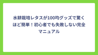 水耕栽培レタスが100均グッズで驚くほど簡単！初心者でも失敗しない完全マニュアル