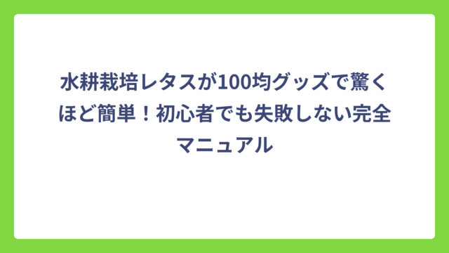 水耕栽培レタスが100均グッズで驚くほど簡単！初心者でも失敗しない完全マニュアル