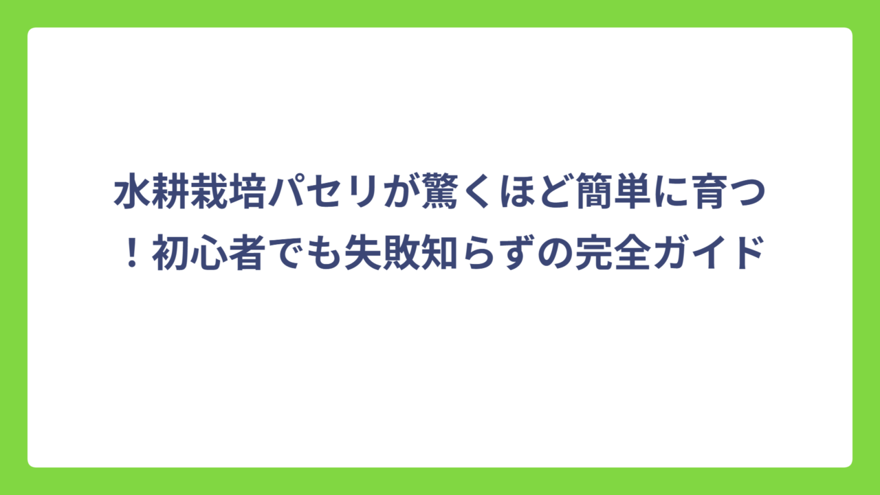 水耕栽培パセリが驚くほど簡単に育つ！初心者でも失敗知らずの完全ガイド