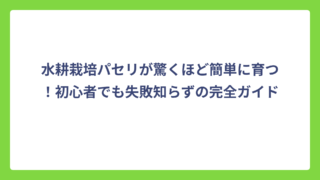 水耕栽培パセリが驚くほど簡単に育つ！初心者でも失敗知らずの完全ガイド