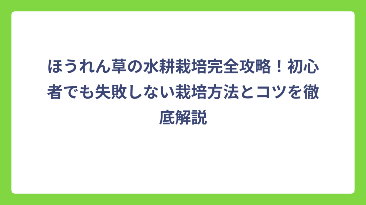 ほうれん草の水耕栽培完全攻略！初心者でも失敗しない栽培方法とコツを徹底解説