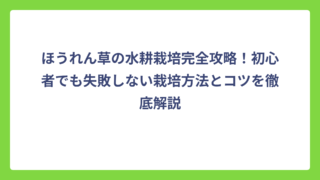 ほうれん草の水耕栽培完全攻略！初心者でも失敗しない栽培方法とコツを徹底解説
