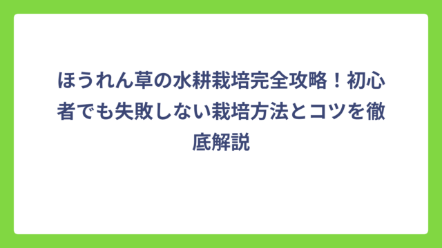 ほうれん草の水耕栽培完全攻略！初心者でも失敗しない栽培方法とコツを徹底解説
