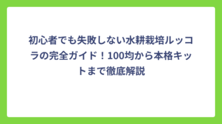 初心者でも失敗しない水耕栽培ルッコラの完全ガイド！100均から本格キットまで徹底解説