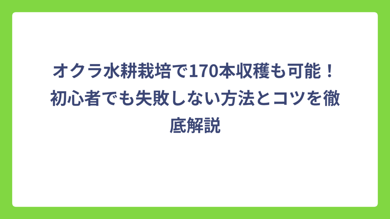 オクラ水耕栽培で170本収穫も可能！初心者でも失敗しない方法とコツを徹底解説