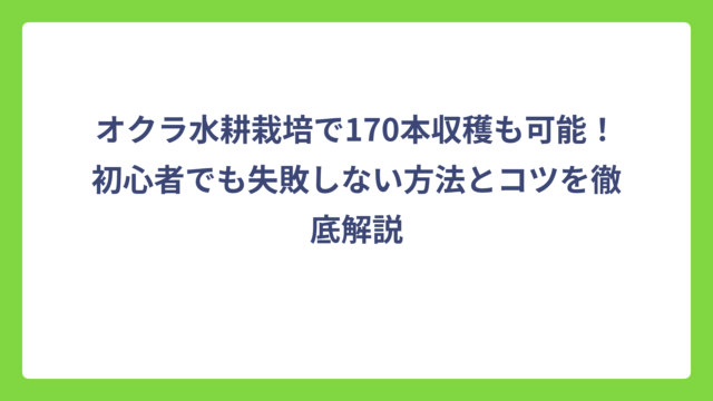 オクラ水耕栽培で170本収穫も可能！初心者でも失敗しない方法とコツを徹底解説
