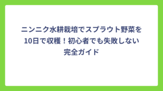 ニンニク水耕栽培でスプラウト野菜を10日で収穫！初心者でも失敗しない完全ガイド