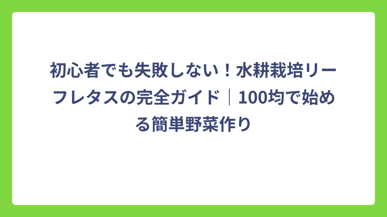 初心者でも失敗しない！水耕栽培リーフレタスの完全ガイド｜100均で始める簡単野菜作り
