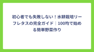 初心者でも失敗しない！水耕栽培リーフレタスの完全ガイド｜100均で始める簡単野菜作り