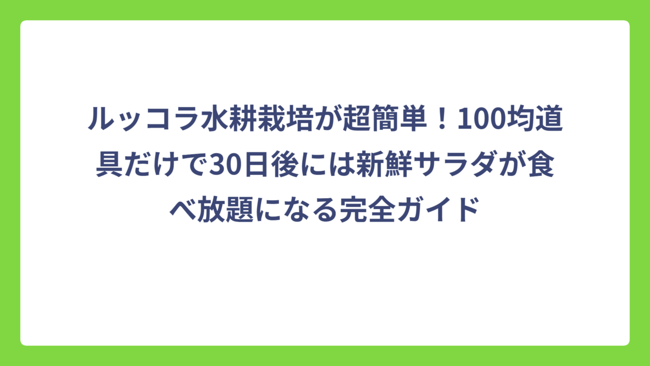 ルッコラ水耕栽培が超簡単！100均道具だけで30日後には新鮮サラダが食べ放題になる完全ガイド