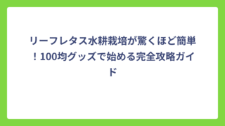 リーフレタス水耕栽培が驚くほど簡単！100均グッズで始める完全攻略ガイド