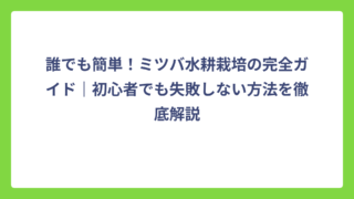誰でも簡単！ミツバ水耕栽培の完全ガイド｜初心者でも失敗しない方法を徹底解説