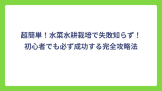 超簡単！水菜水耕栽培で失敗知らず！初心者でも必ず成功する完全攻略法
