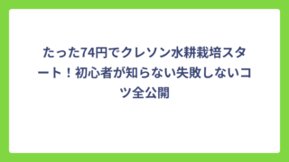 たった74円でクレソン水耕栽培スタート！初心者が知らない失敗しないコツ全公開