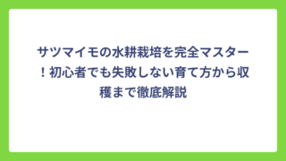 サツマイモの水耕栽培を完全マスター！初心者でも失敗しない育て方から収穫まで徹底解説