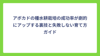 アボカドの種水耕栽培の成功率が劇的にアップする裏技と失敗しない育て方ガイド