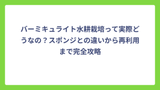 バーミキュライト水耕栽培って実際どうなの？スポンジとの違いから再利用まで完全攻略