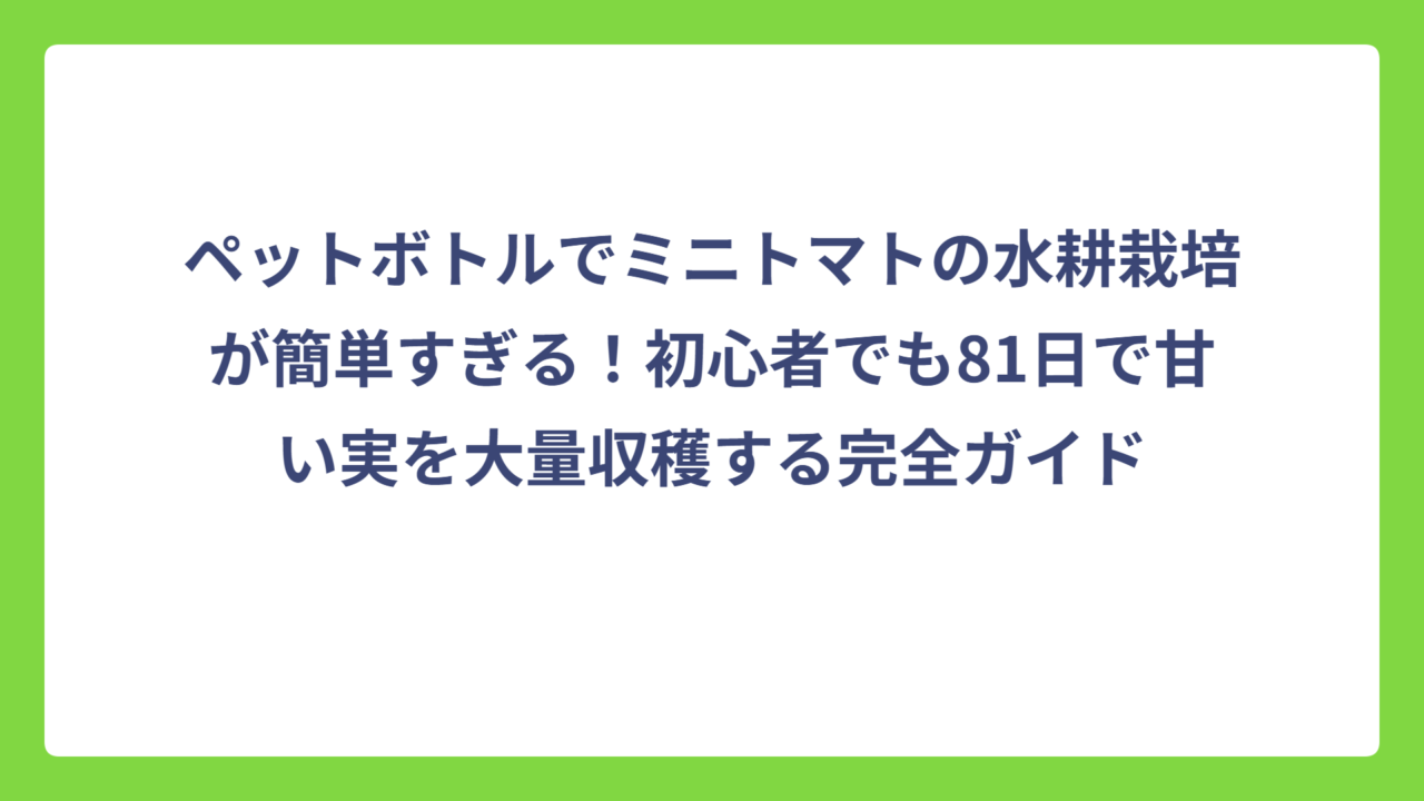 ペットボトルでミニトマトの水耕栽培が簡単すぎる！初心者でも81日で甘い実を大量収穫する完全ガイド