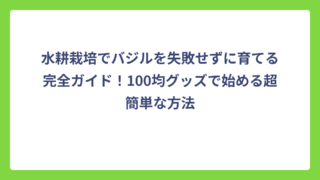 水耕栽培でバジルを失敗せずに育てる完全ガイド！100均グッズで始める超簡単な方法